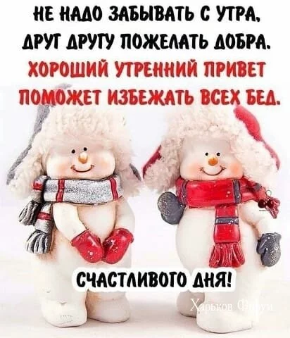 0bf8b5a77682fa15c9.webp
