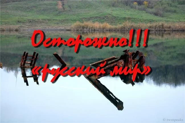 0bgegg.webp