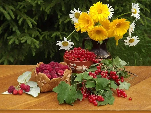 0bgjeh.webp
