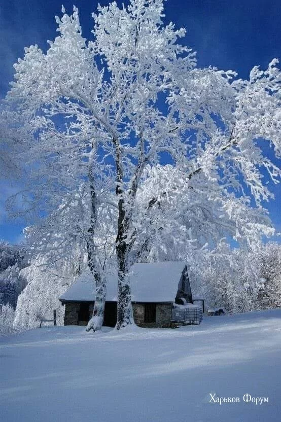 0c018dde8f28f0617.webp