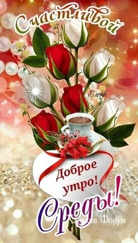 0c08b695352bd24646c27.webp