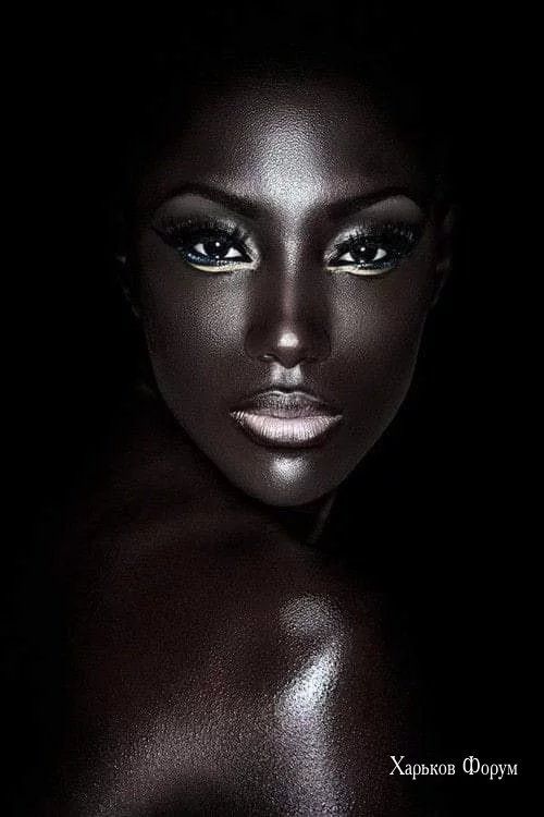 0c0c6696368a7cf3ba514a.webp