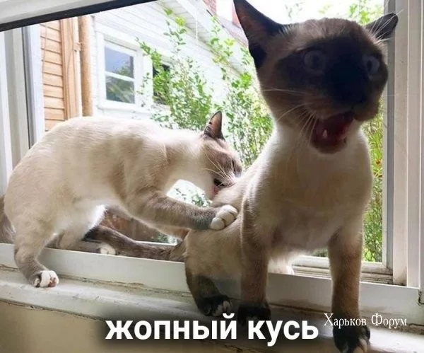 0c627b60db6b7db3b65426.webp