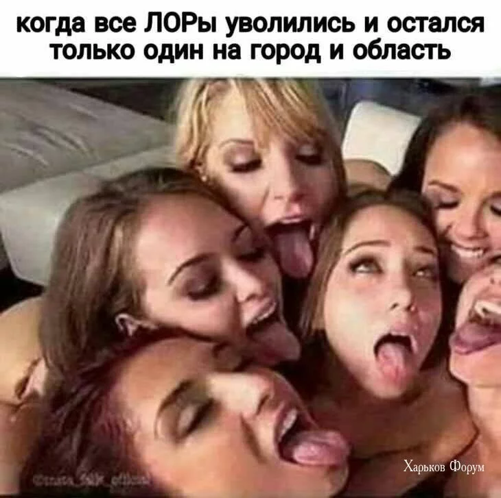 0c62dd733148e62467fb.webp