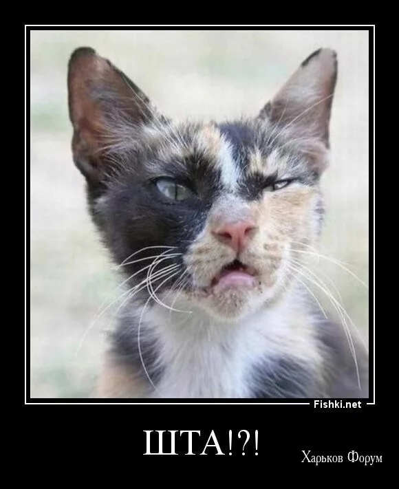 0c6dc58ff5924fccef8d27f7.webp