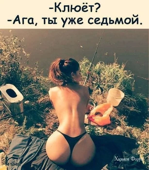0c71ff670ea951cd.webp