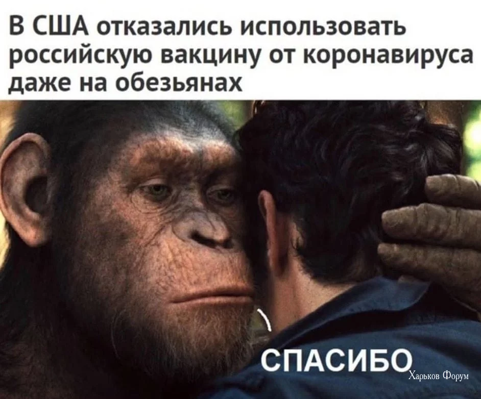 0c7a7d62f3a251f5872c54.webp