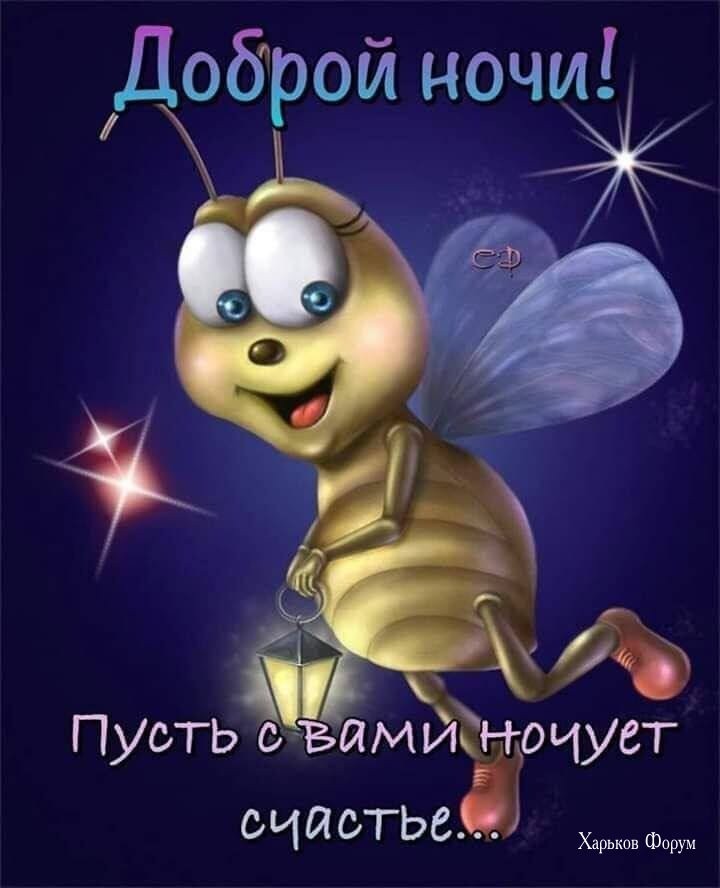 0c7beab831b76d71.jpg