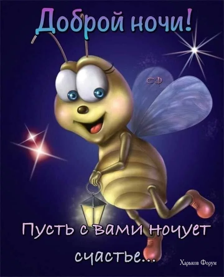 0c7beab831b76d71.webp