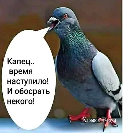 0cae9bac2782c9eed.webp