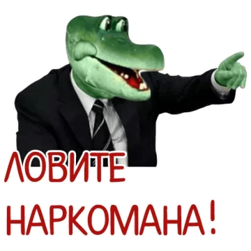 0ccgcd.webp