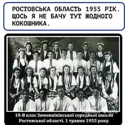 0cd4bdb8457cf85dc2922.webp