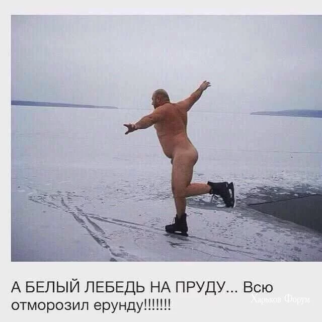 0cd764a26657297abfdb929.webp