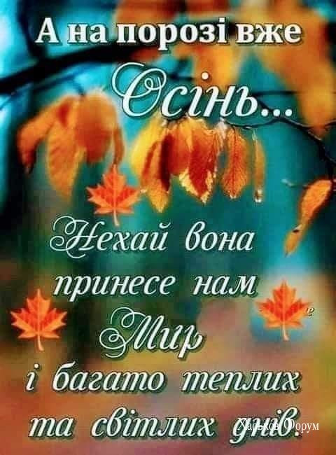 0ce4c15fd0039504a.jpg