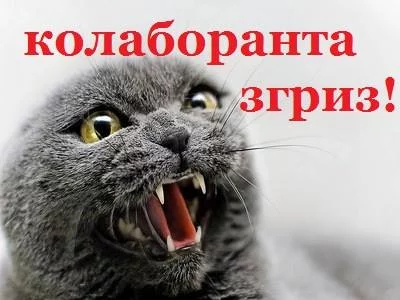 0cjbeb.webp