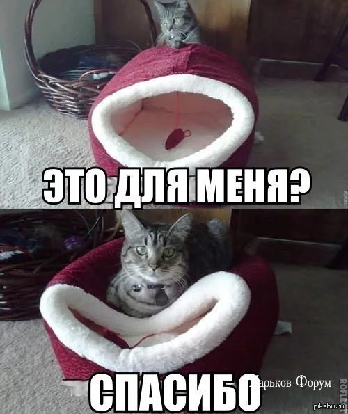0d167ed548a4d6f2d9ae199.webp