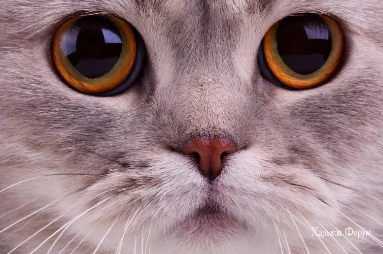 0d1bb7911a84917ff08.webp