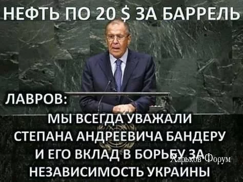 0d335215ff91c508c71e.webp