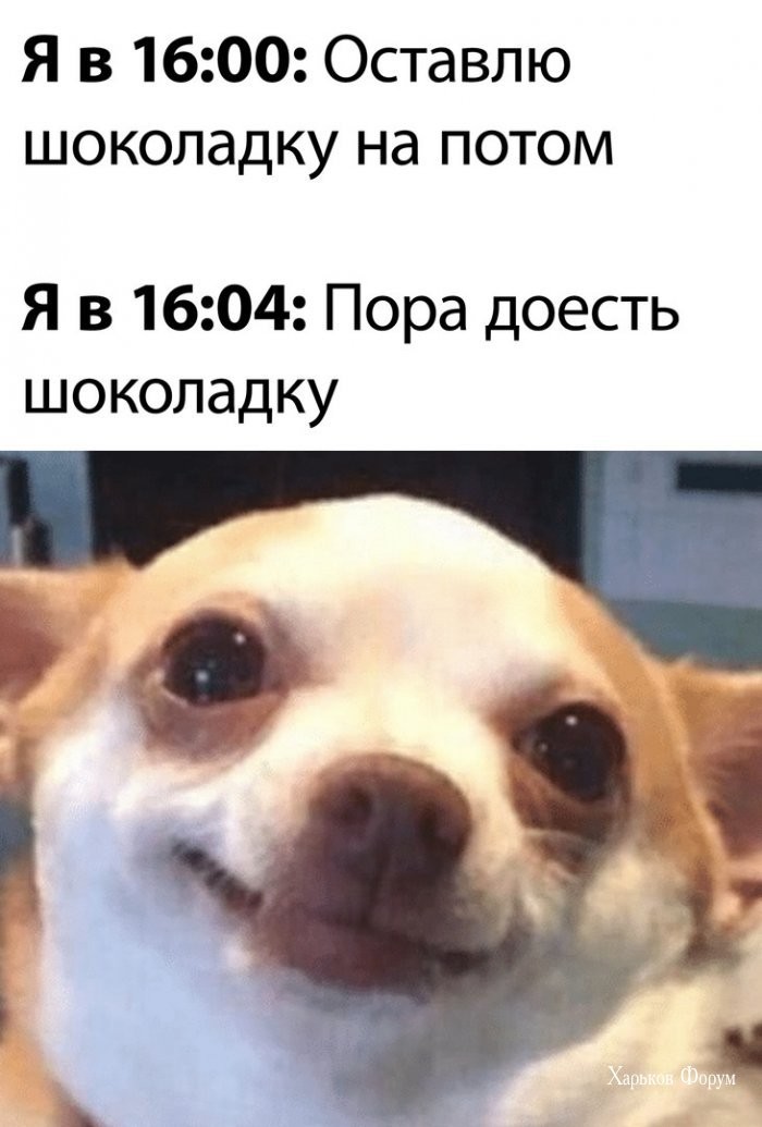 0d35800d8b084638e.jpg