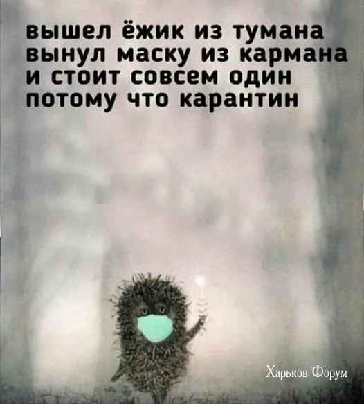 0d44b734485e10a852479fd5.webp