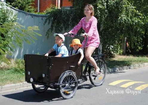 0d48c350549282fe.webp
