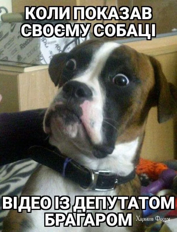 0d5000eef79220f79d.webp