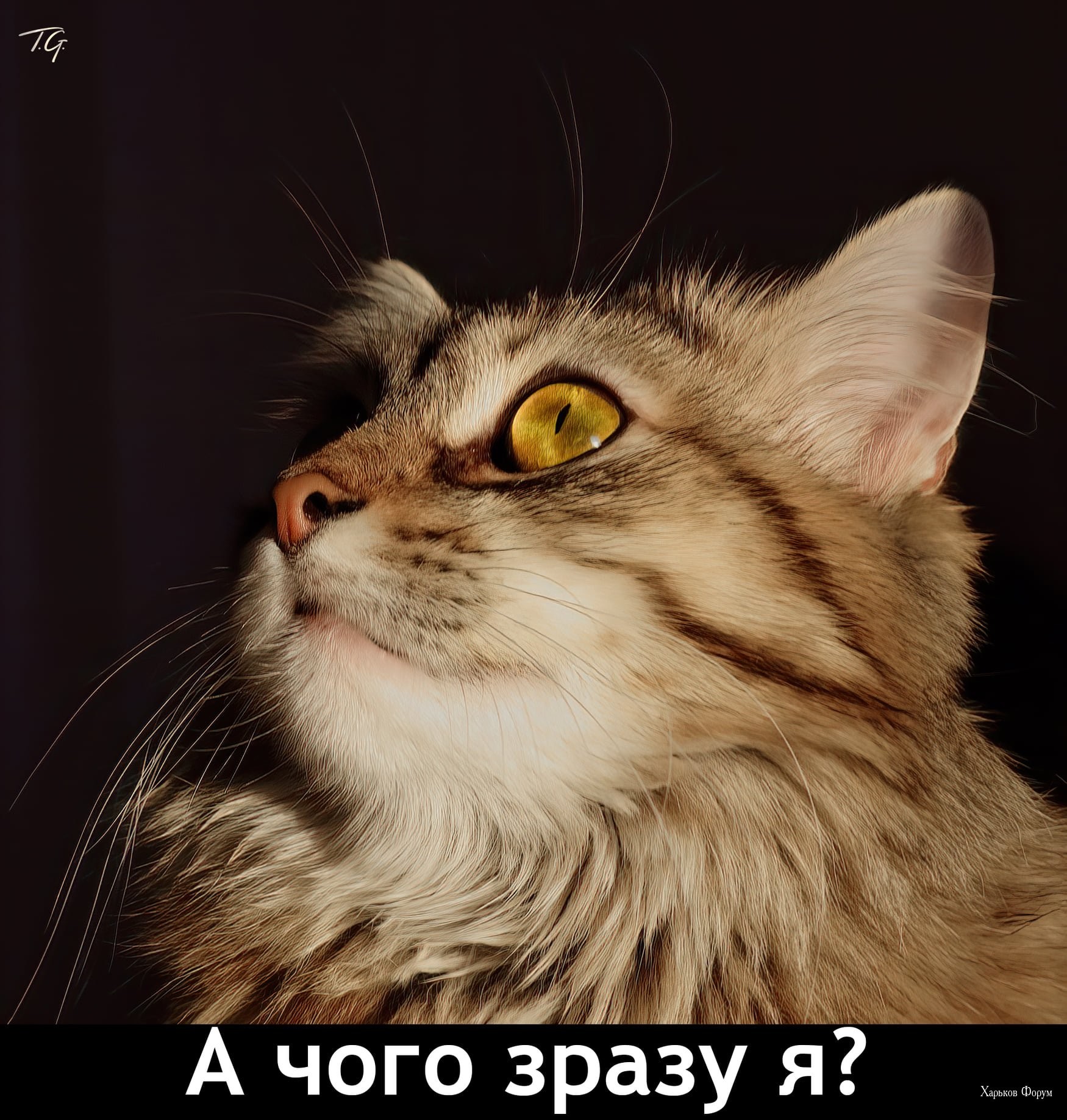0d58683bf37da4798d17.jpg