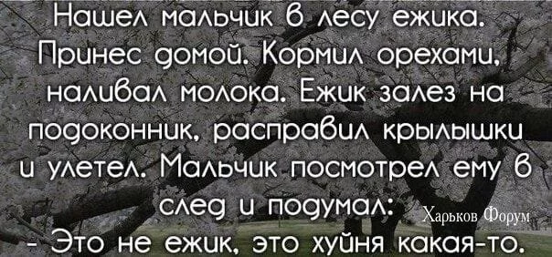 0d5970ae152711da8.webp