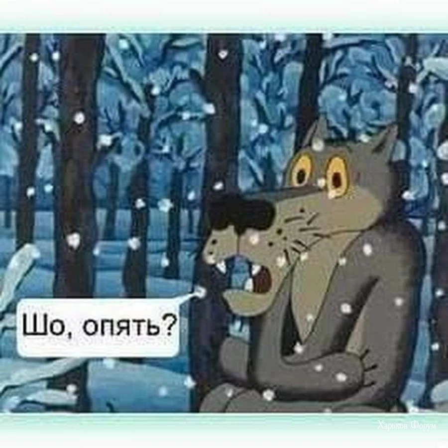 0d5db30296fa961f.webp