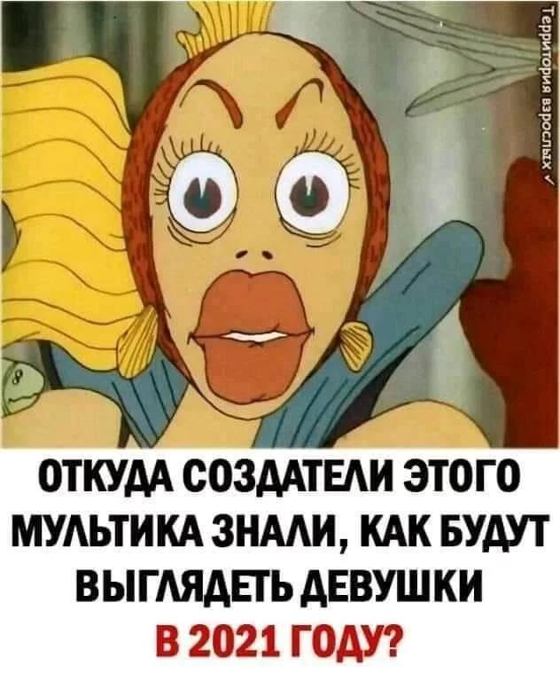 0d60dccd988bfd5a863.webp