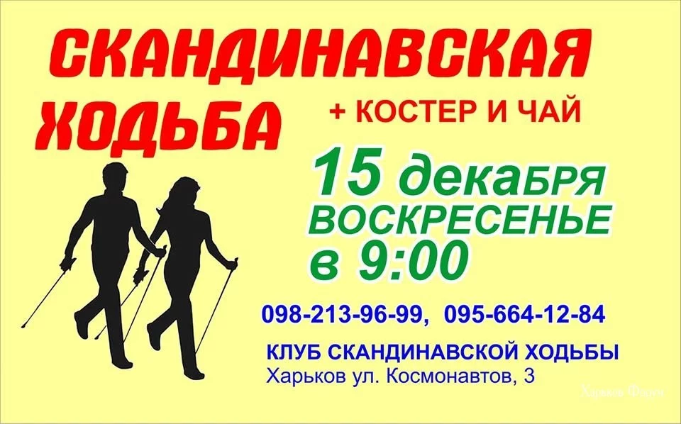 0d6da263ab2925bf.webp