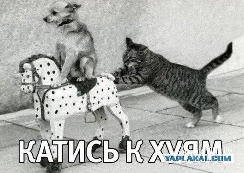 0d784aeef35ca6fd9.webp