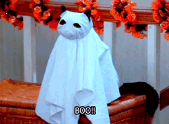 0d92fb8ce5a11ba073d33d9.gif