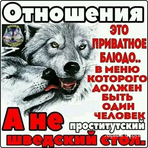 0d93925f3f1793fe.webp