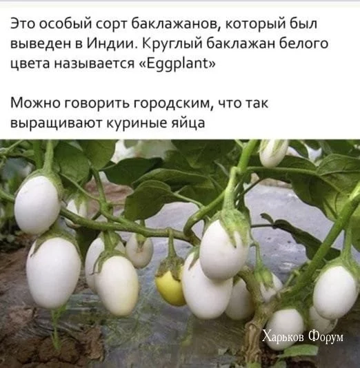 0d9c47f2ab970935b59c5b4.webp