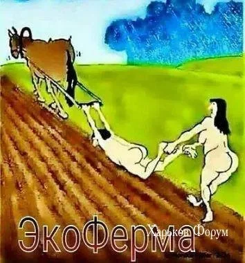 0db0f63848f0eb9cef7eaef6.webp