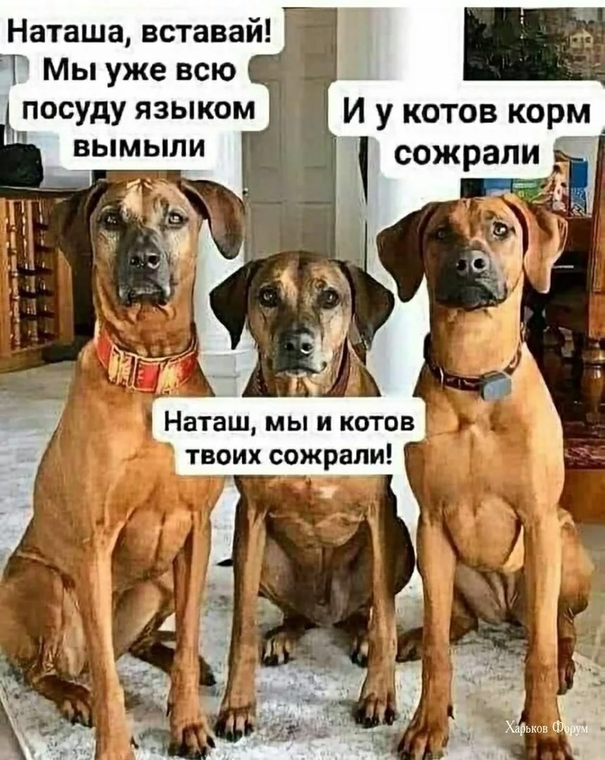 0ddf45aa4e02ec13e.webp