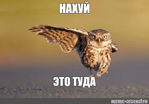 0ddjhj.webp