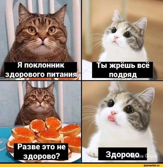 0de7268ea3cbcd81.webp