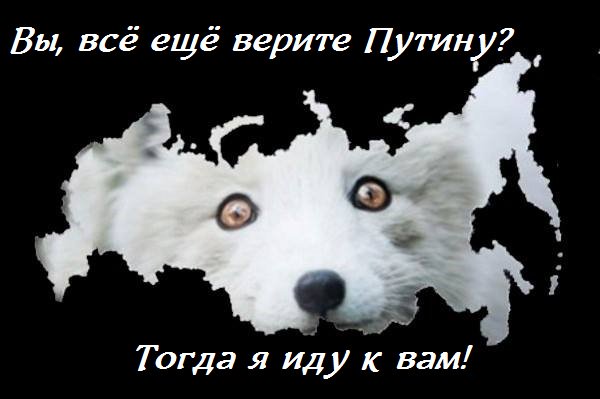 0deeca.jpg