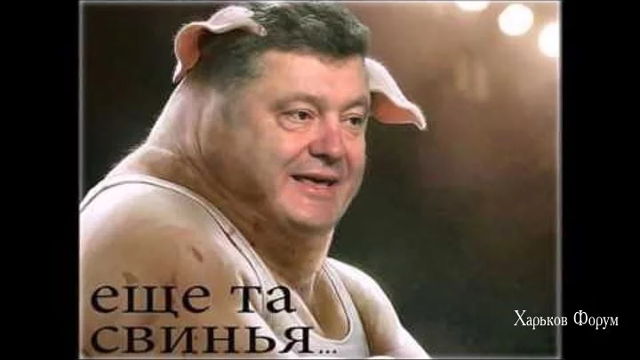 0df8576159fd119d5.webp