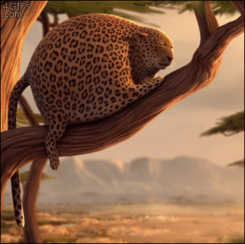 0dhebh.gif