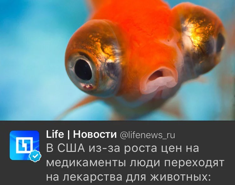 0djccf.webp