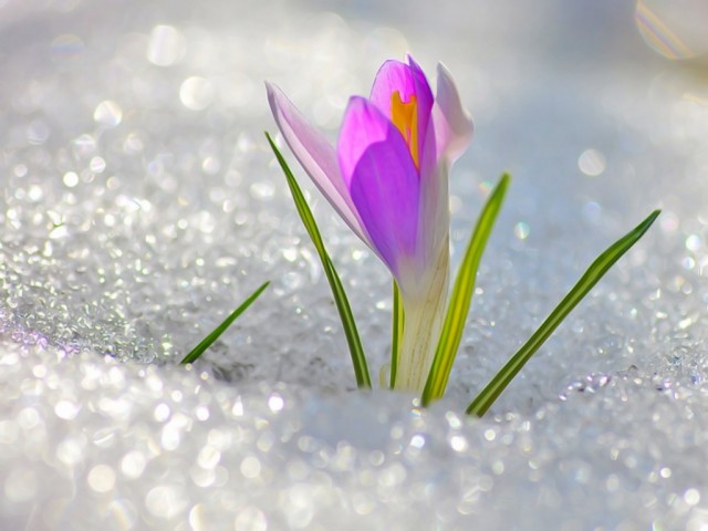 0e1356f01393cbdc73afbbe52e69369a.jpg