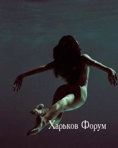 0e2825f4ea590272c5cb38.webp