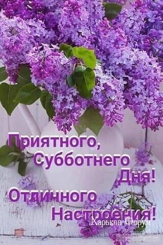 0e33d8f2c8e4f96ddd0.jpg
