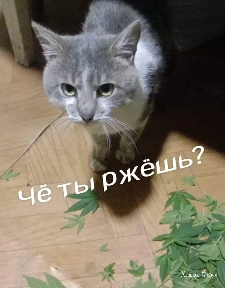 0e38cdc03f4190e8dbb.webp