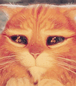 0e4cc6c207699a7a617.gif