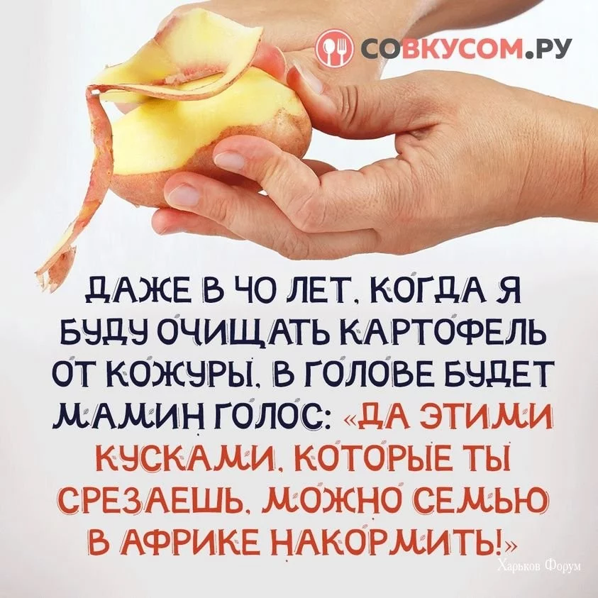 0e6b6ec25ebec4db40b64.webp