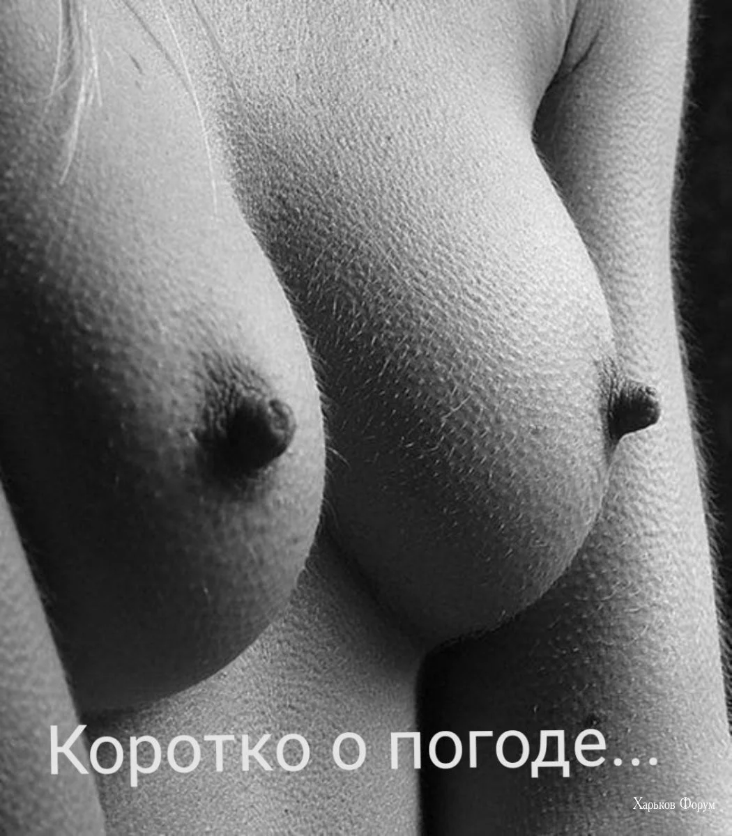 0e7bb3f69f320726c815001.webp